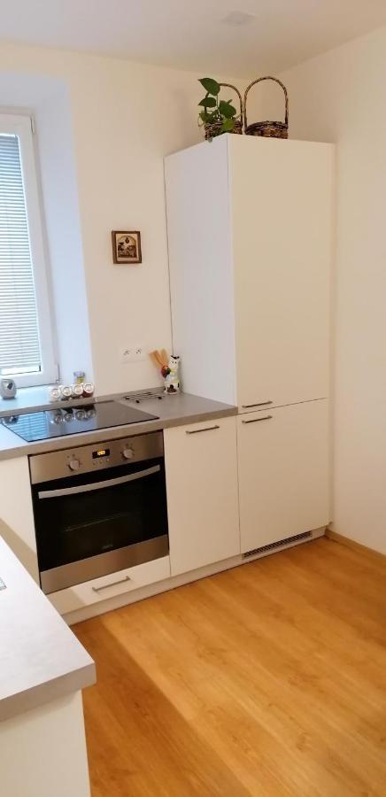 אולומוץ Apartman U Moravy מראה חיצוני תמונה